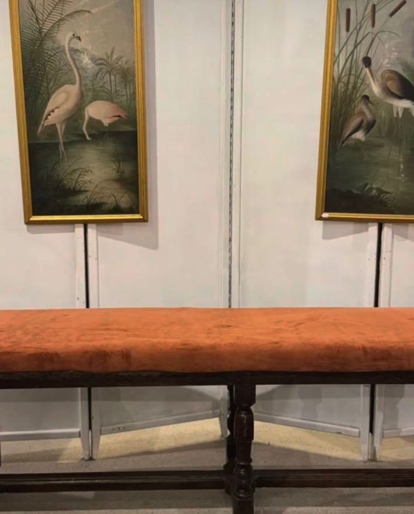 WhatsApp Image 2026-01-15 at 18.30.57