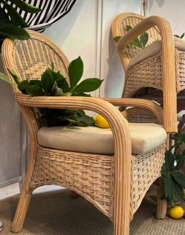 WhatsApp Image 2026-01-15 at 18.30.59 (1)