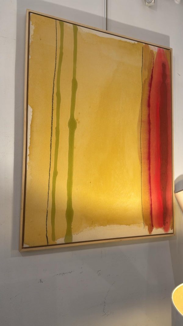 WhatsApp Image 2026-01-17 at 14.17.30