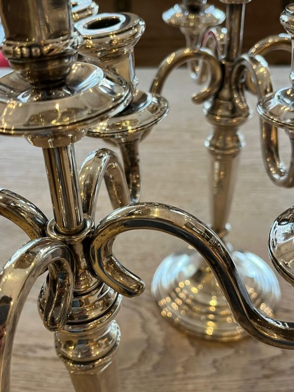 WhatsApp Image 2026-01-22 at 17.35.16 (10)