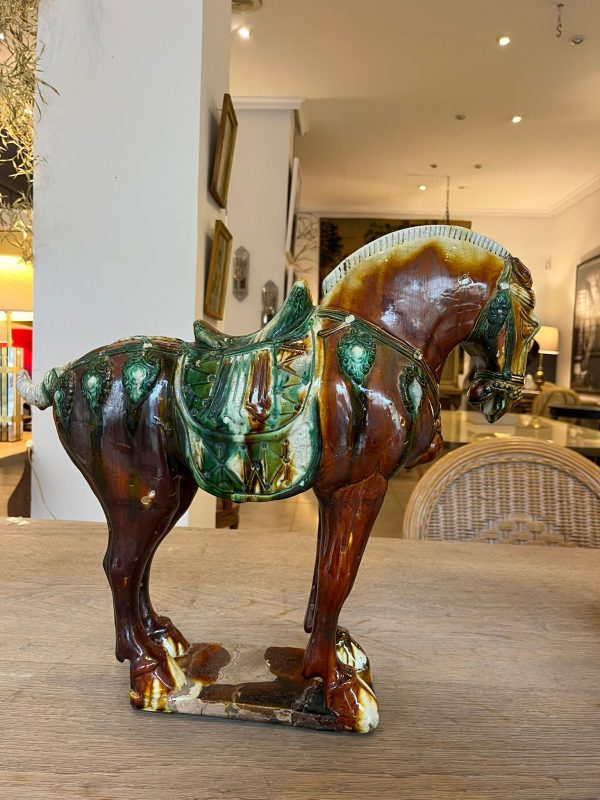 WhatsApp Image 2026-01-22 at 17.35.16 (11)