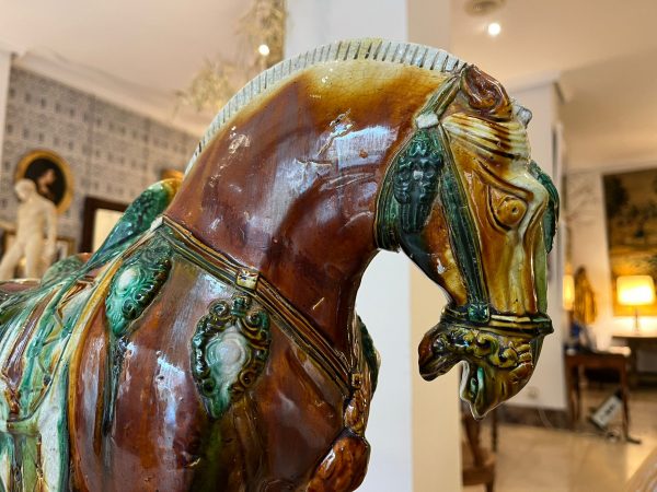 WhatsApp Image 2026-01-22 at 17.35.16 (14)