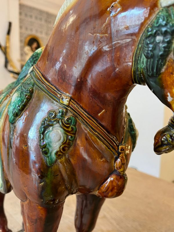 WhatsApp Image 2026-01-22 at 17.35.16 (15)