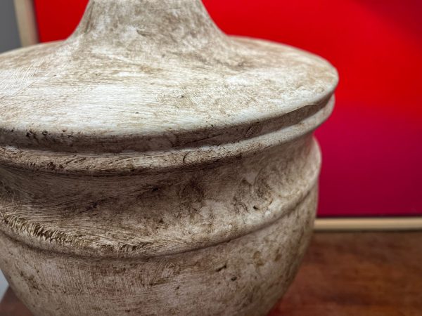 WhatsApp Image 2026-01-22 at 17.35.16 (3)