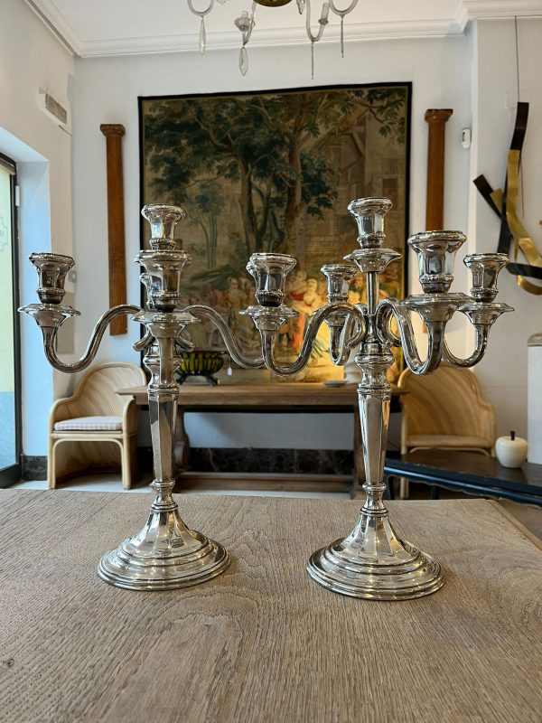 WhatsApp Image 2026-01-22 at 17.35.16 (8)