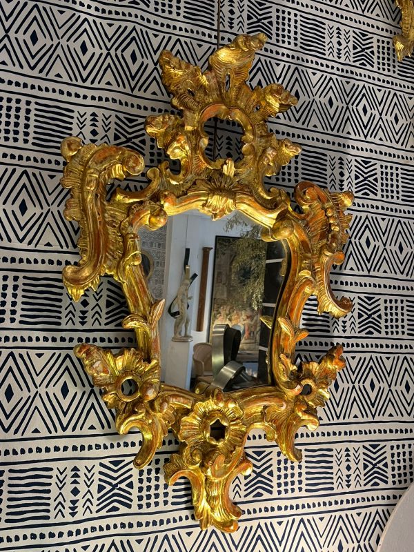 WhatsApp Image 2026-01-22 at 17.36.01 (2)