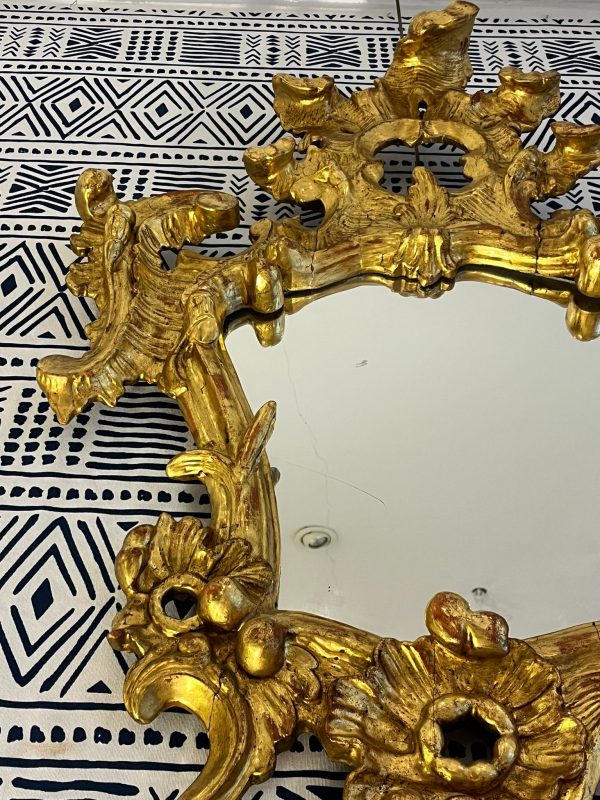 WhatsApp Image 2026-01-22 at 17.36.01 (3)