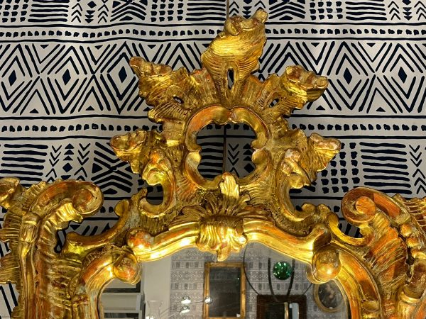 WhatsApp Image 2026-01-22 at 17.36.01 (4)