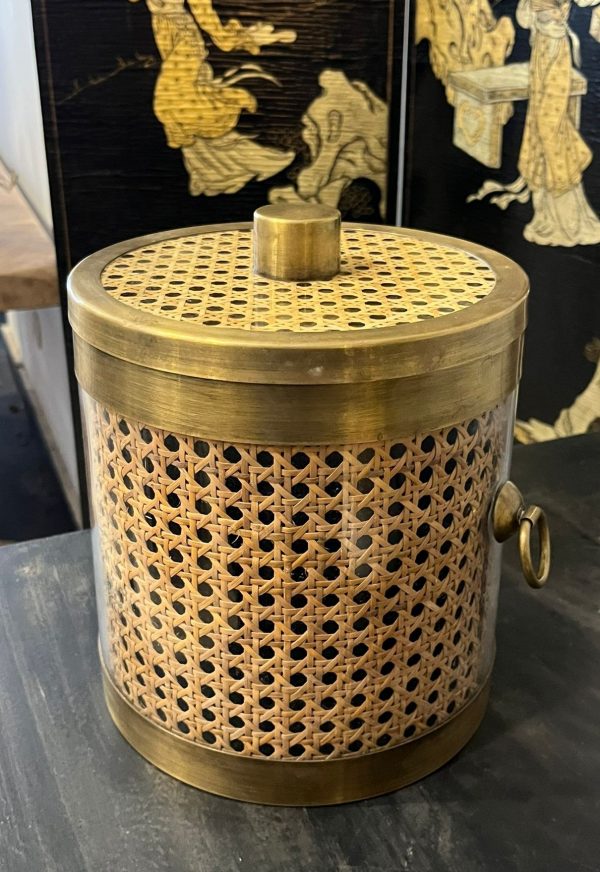 WhatsApp Image 2026-01-27 at 11.53.29 (1)