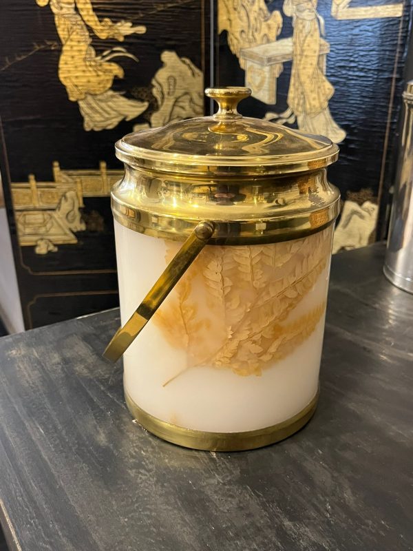 WhatsApp Image 2026-01-27 at 11.53.29 - copia