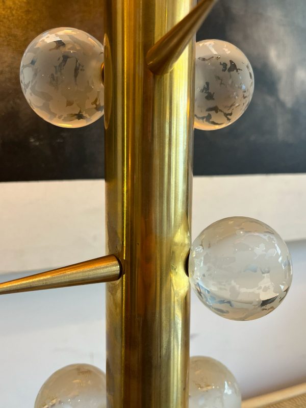 WhatsApp Image 2026-01-29 at 12.46.59 (1)