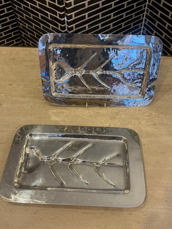 WhatsApp Image 2026-02-19 at 18.14.03